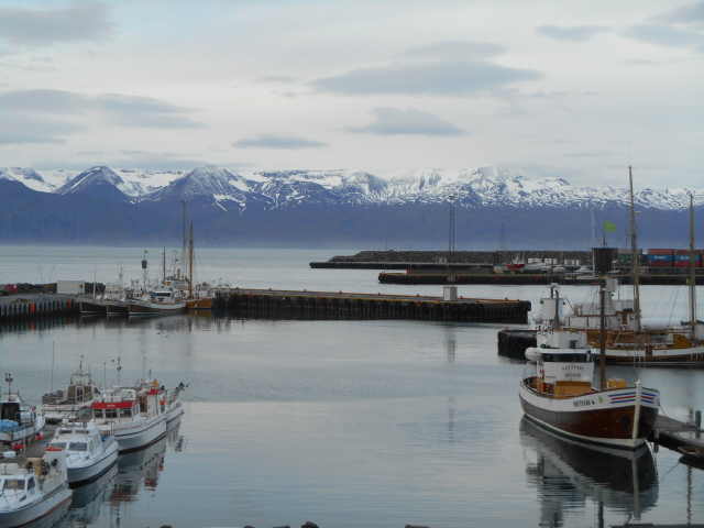 Husavik Nattfari